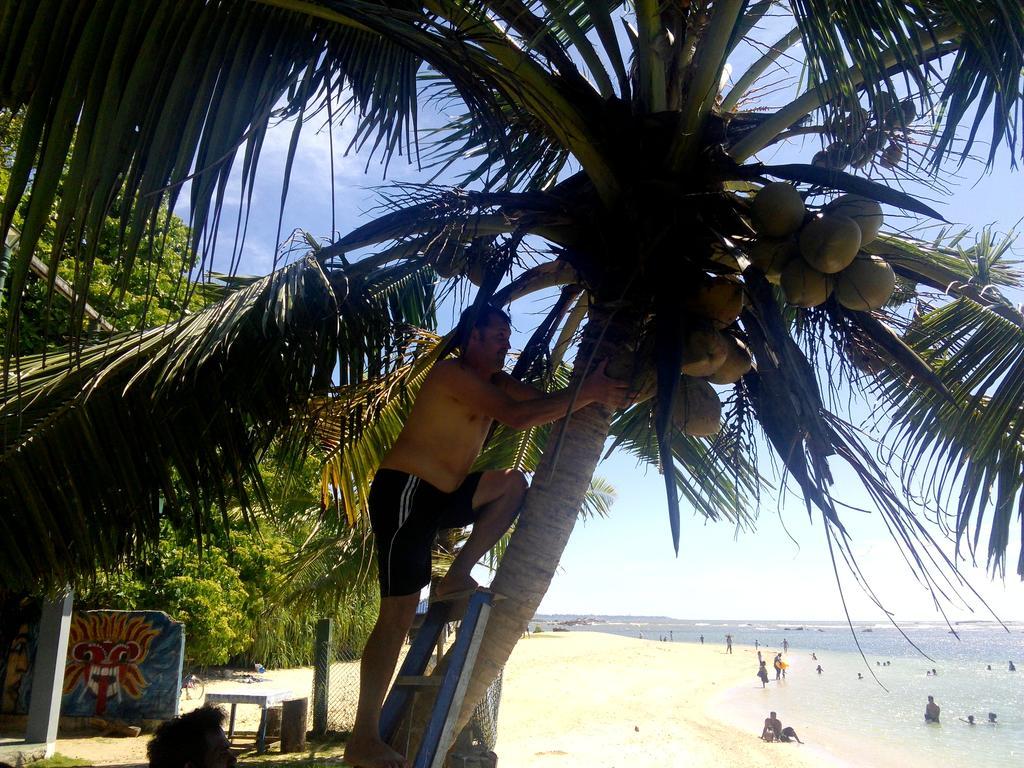Sayuri Beach Hotel Matara Exteriér fotografie