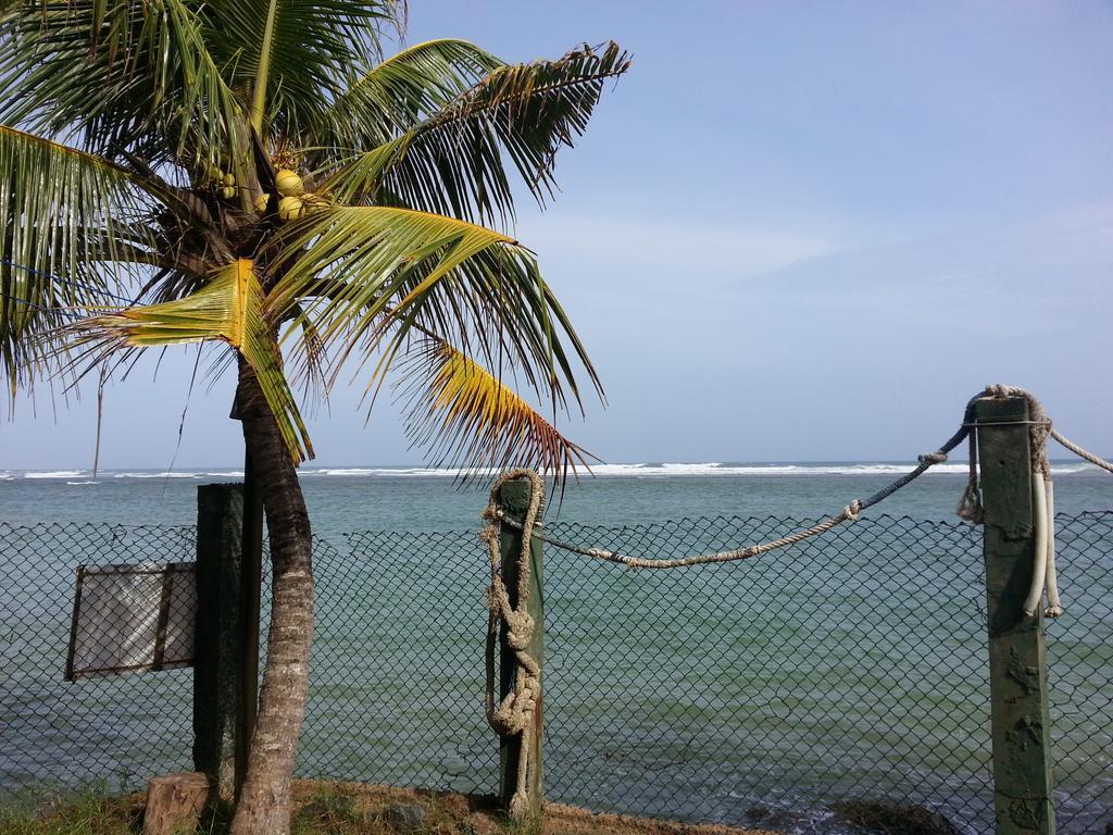 Sayuri Beach Hotel Matara Exteriér fotografie